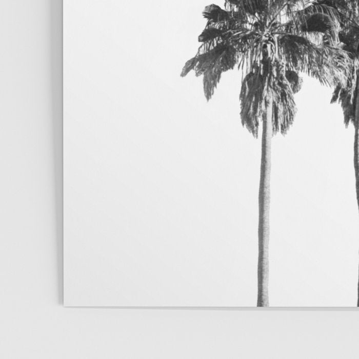 Palm trees 3 Poster Gallery Image 3