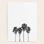 Palm trees 3 Poster Gallery Image 4