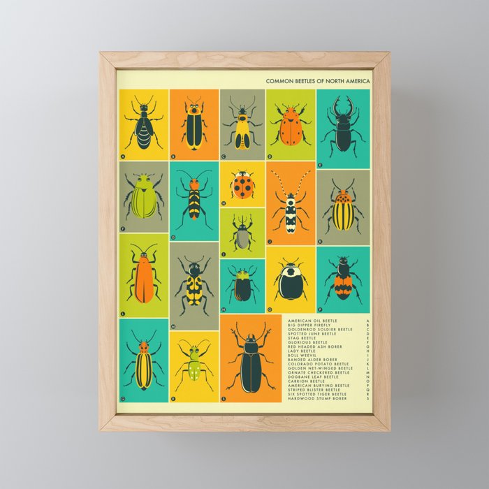 COMMON BEETLES OF NORTH AMERICA Mini Art Print Gallery Image 1