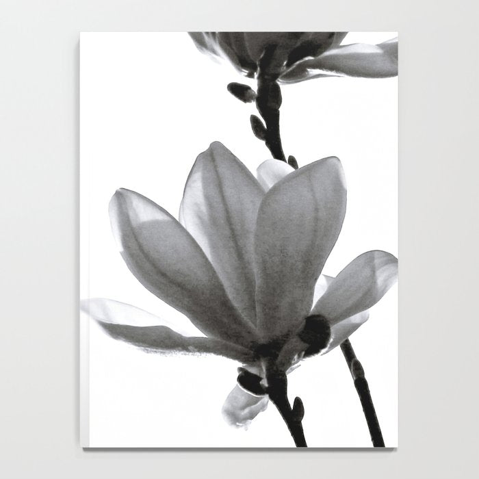 BLACK MAGNOLIA Notebook Gallery Image 4