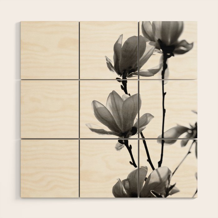 BLACK MAGNOLIA Wood Wall Art Gallery Image 1