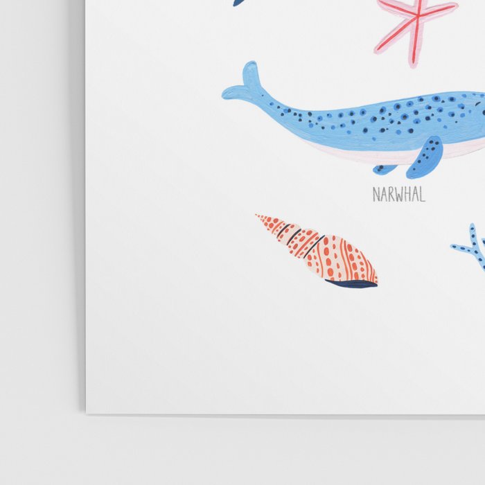 Whale Species Poster Gallery Image 3