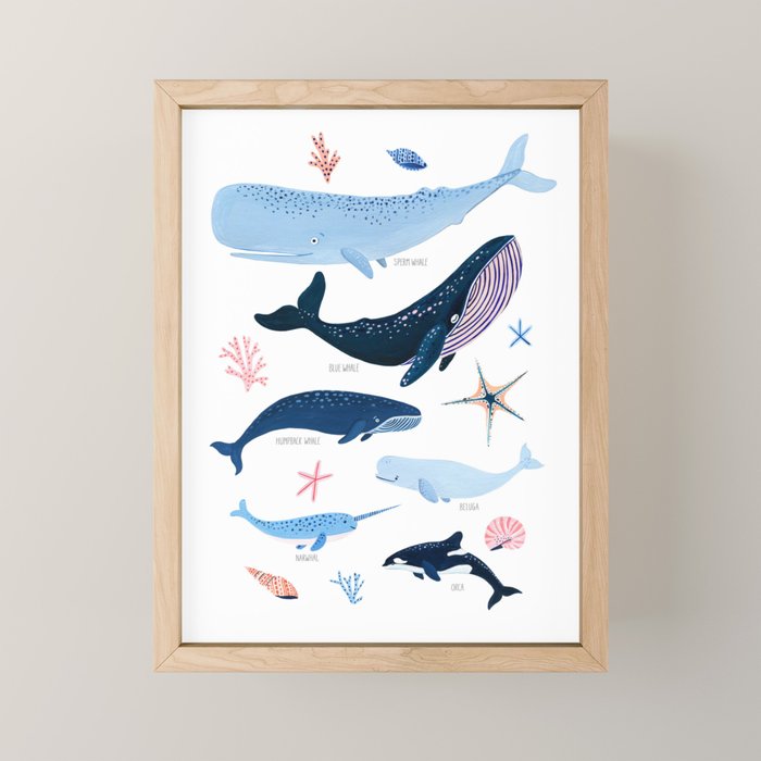 Whale Species Mini Art Print Gallery Image 1
