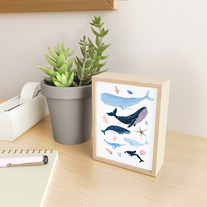 Whale Species Mini Art Print Gallery Image 2