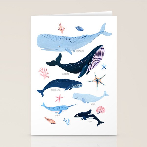 Whale Species Stationery Card Gallery Image 2