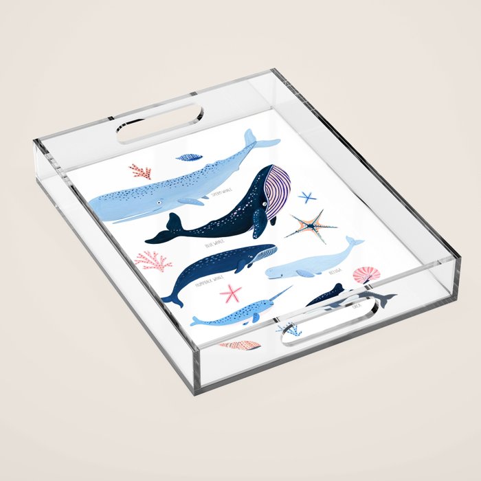 Whale Species Acrylic Tray Gallery Image 1