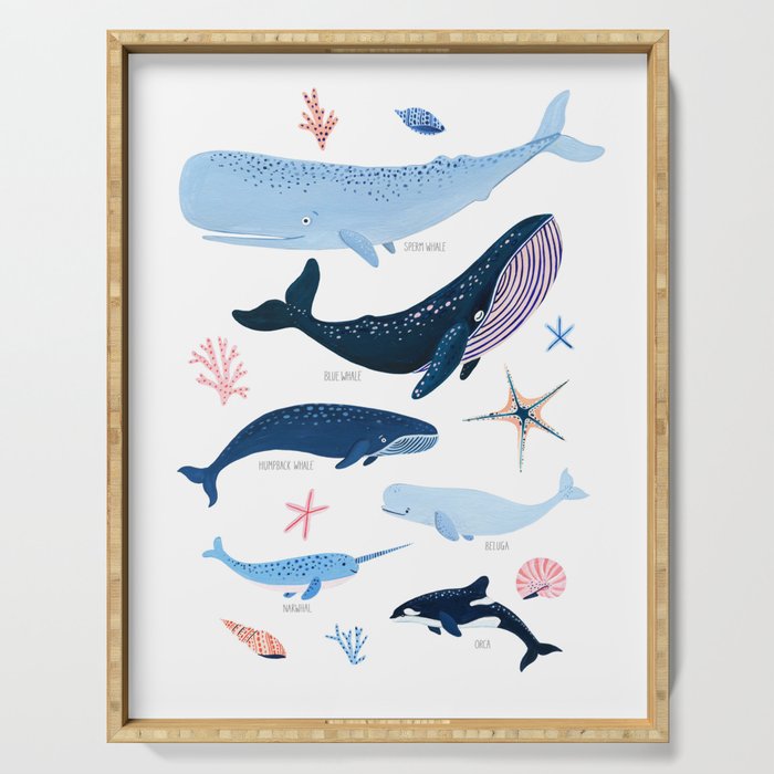 Whale Species Serving Tray Gallery Image 1