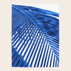 Blue Palm Leaf Poster Gallery Image 4