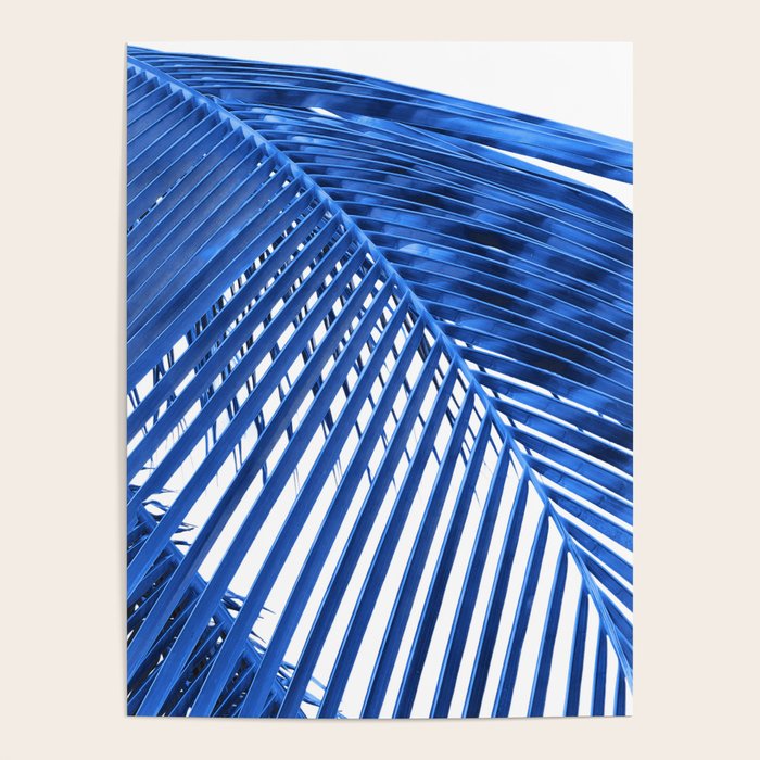 Blue Palm Leaf Poster Gallery Image 1