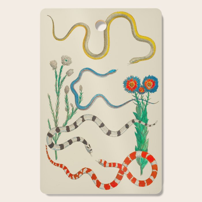 Locupletissimi rerum naturalium - vol. 2 - Albertus Seba Colorful Snake Floral Arrangement Cutting Board Gallery Image 1