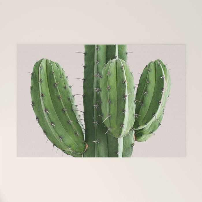 Cactus 4 Welcome Mat Gallery Image 1