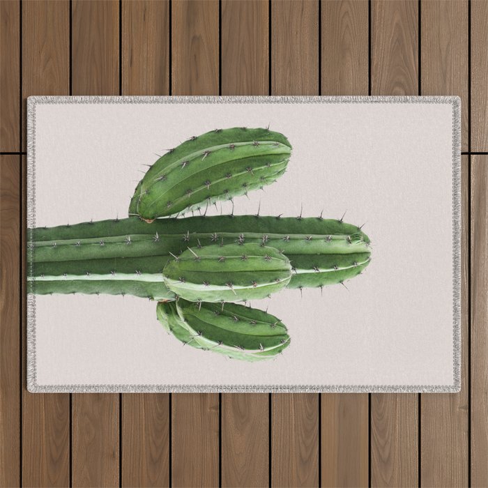 Cactus 4 Outdoor Rug Gallery Image 1