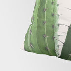 Cactus 4 Pillow Sham Gallery Image 4