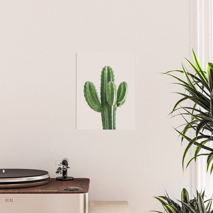 Cactus 4 Poster Gallery Image 2