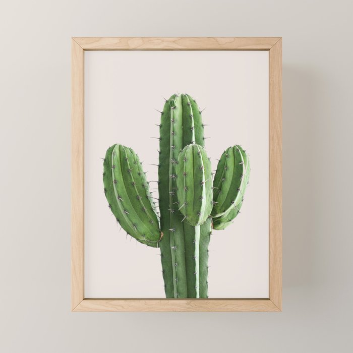 Cactus 4 Mini Art Print Gallery Image 1