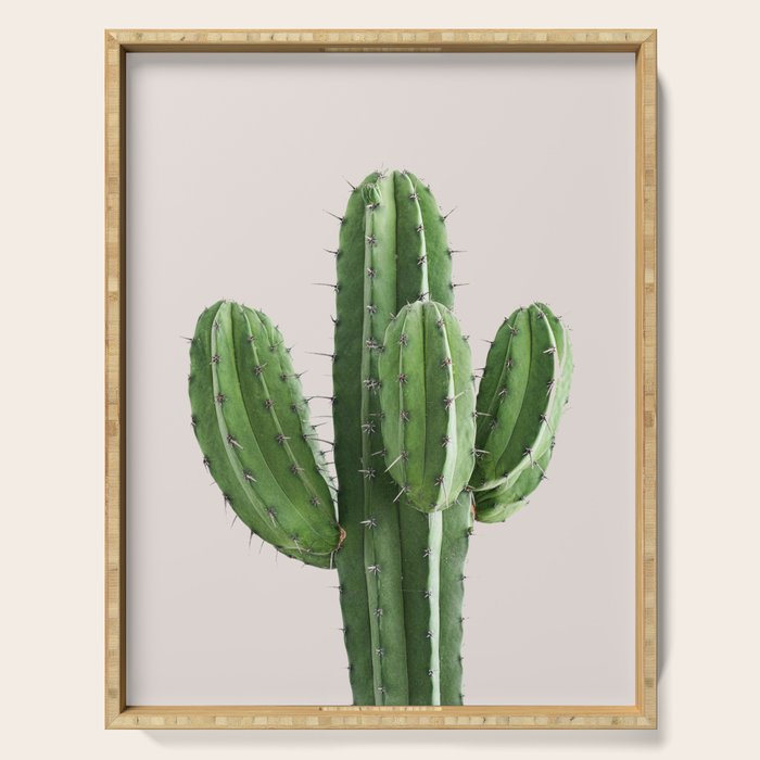 Cactus 4 Serving Tray Gallery Image 1