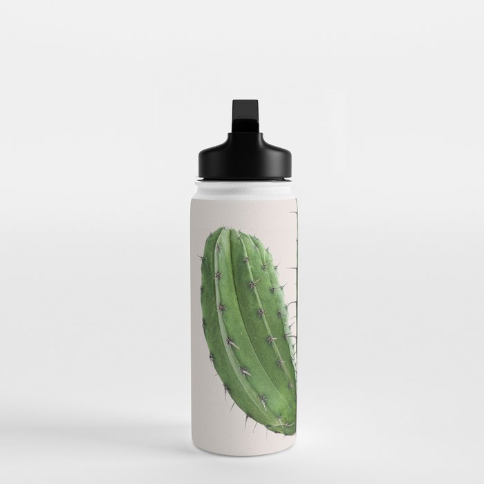 Cactus 4 Water Bottle Gallery Image 3