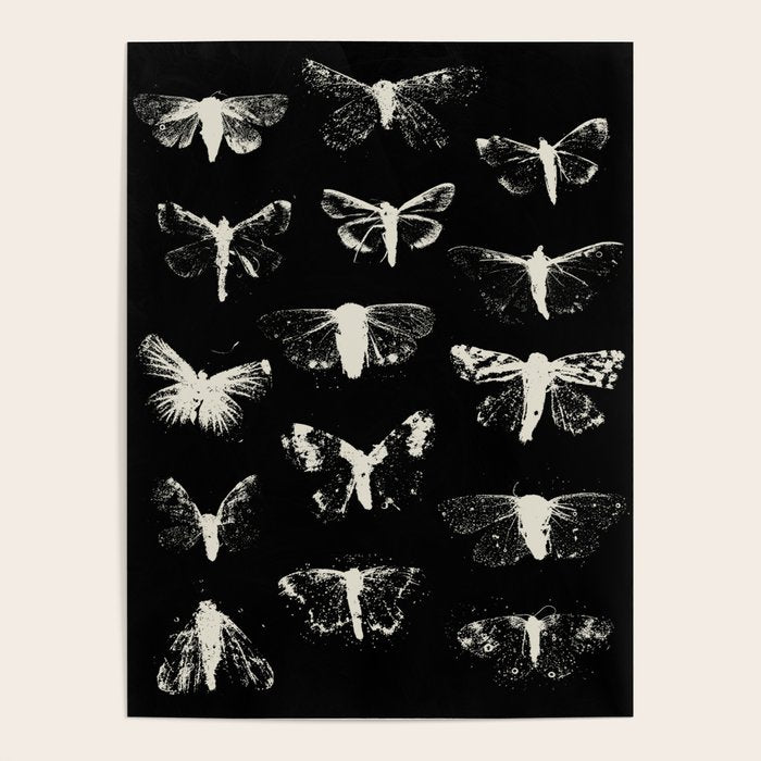 moths Poster Gallery Image 1