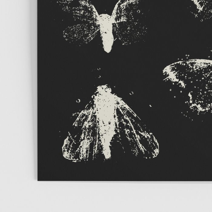 moths Poster Gallery Image 3