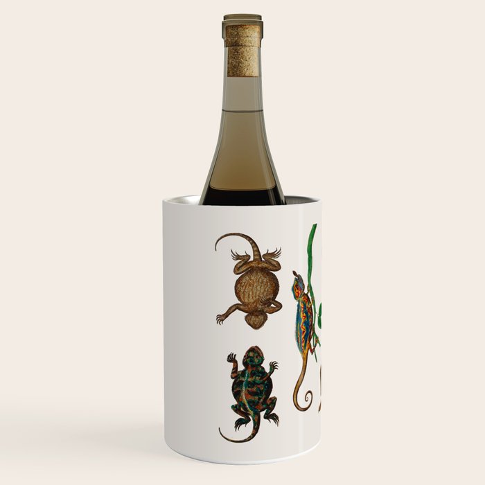 Albertus Seba Iguana And Snakes Wine Chiller Gallery Image 2