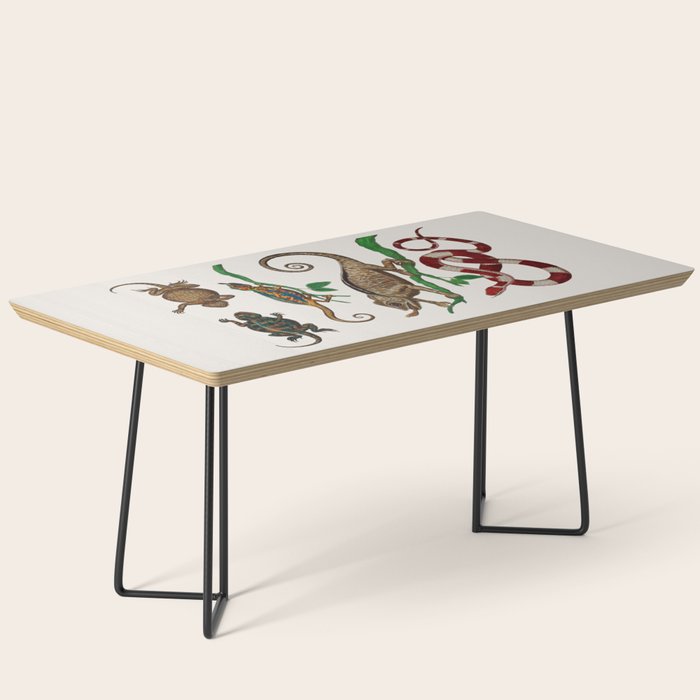 Albertus Seba Iguana And Snakes Coffee Table Gallery Image 1