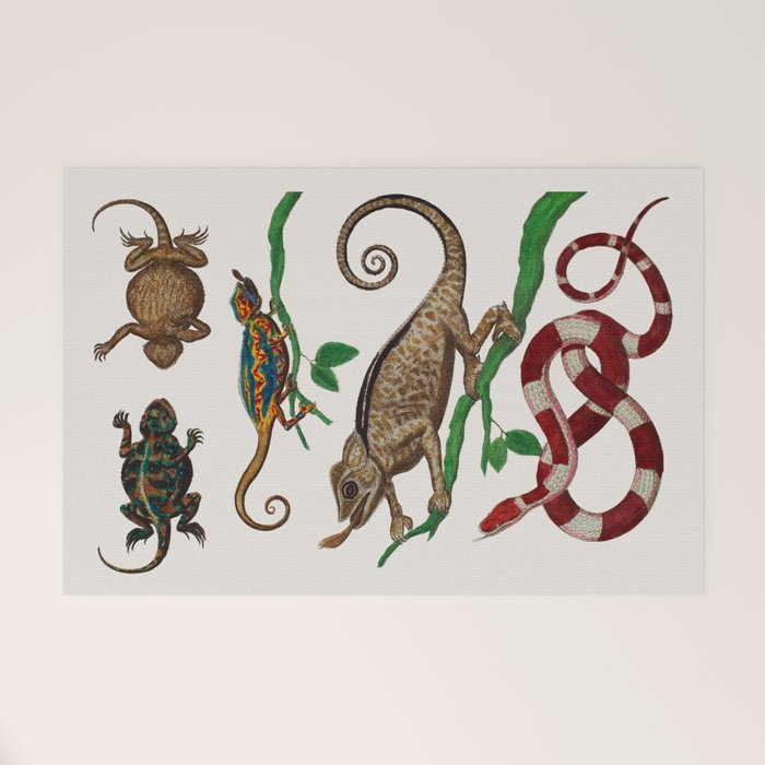 Albertus Seba Iguana And Snakes Welcome Mat Gallery Image 1