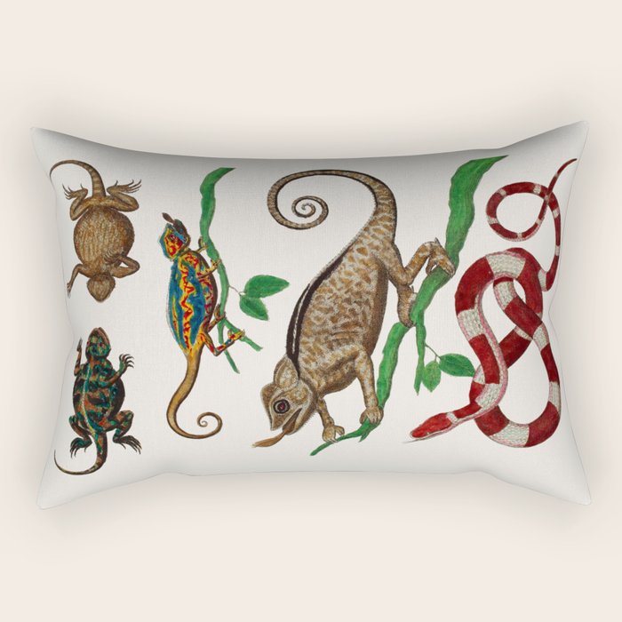 Albertus Seba Iguana And Snakes Rectangular Pillow Gallery Image 2