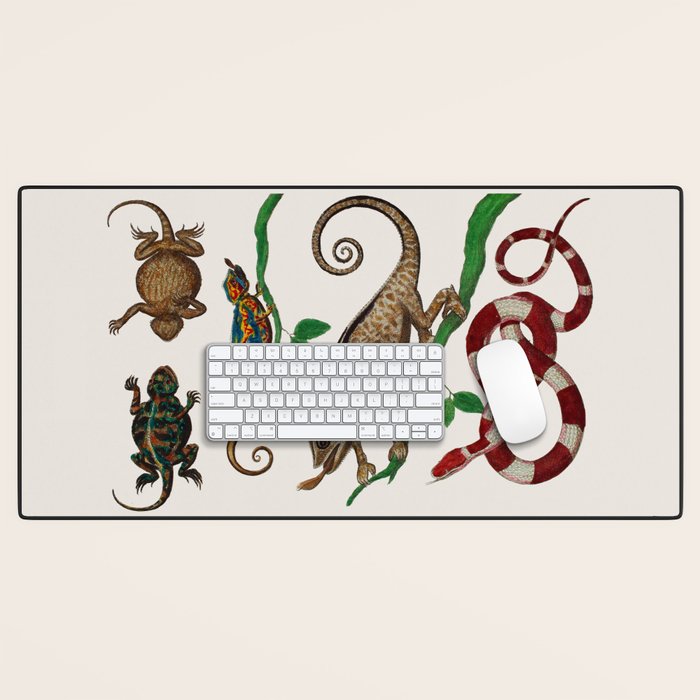 Albertus Seba Iguana And Snakes Desk Mat Gallery Image 1