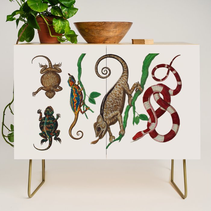 Albertus Seba Iguana And Snakes Credenza Gallery Image 1