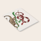 Albertus Seba Iguana And Snakes Notebook Gallery Image 2