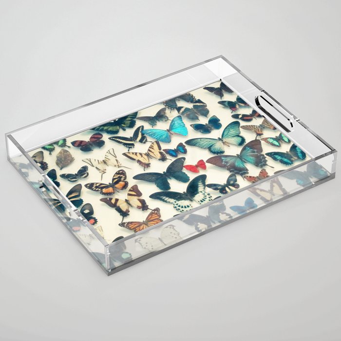 Wings Acrylic Tray Gallery Image 1