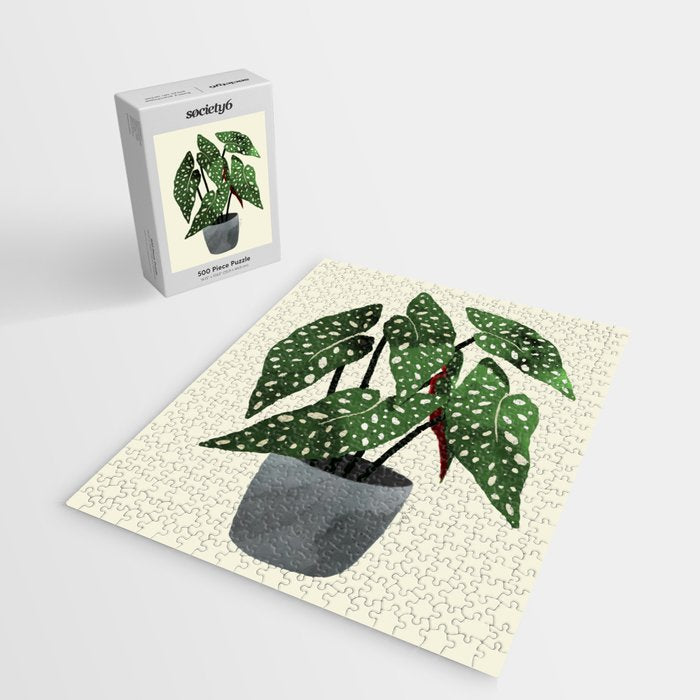 begonia maculata interior plant Jigsaw Puzzle Gallery Image 2
