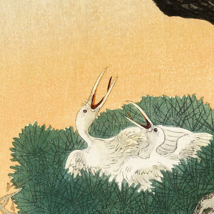 Crane and its chicks on a pine tree  - Vintage Japanese Woodblock Print Art Coffee Mug Gallery Image 2
