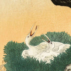 Crane and its chicks on a pine tree  - Vintage Japanese Woodblock Print Art Coffee Mug Gallery Image 2