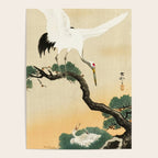 Crane and its chicks on a pine tree  - Vintage Japanese Woodblock Print Art Poster Gallery Image 4