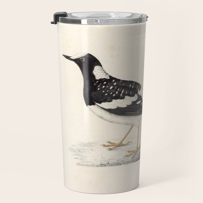 Spotted forktail by Elizabeth Gould from "A Century of Birds from the Himalaya Mountains," 1831 Travel Mug Gallery Image 3