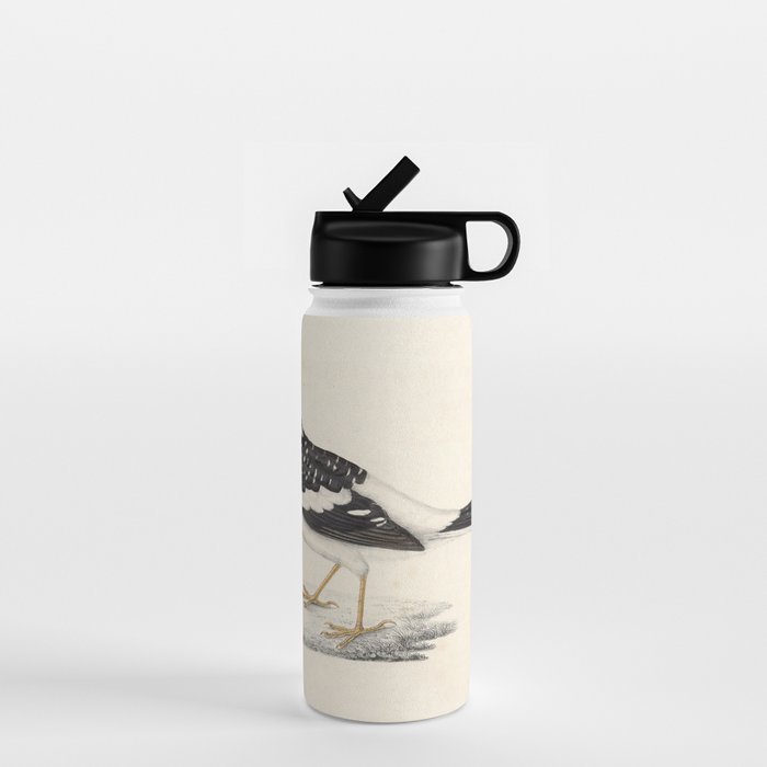 Spotted forktail by Elizabeth Gould from "A Century of Birds from the Himalaya Mountains," 1831 Water Bottle Gallery Image 1