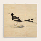 Spotted forktail by Elizabeth Gould from "A Century of Birds from the Himalaya Mountains," 1831 Wood Wall Art Gallery Image 1