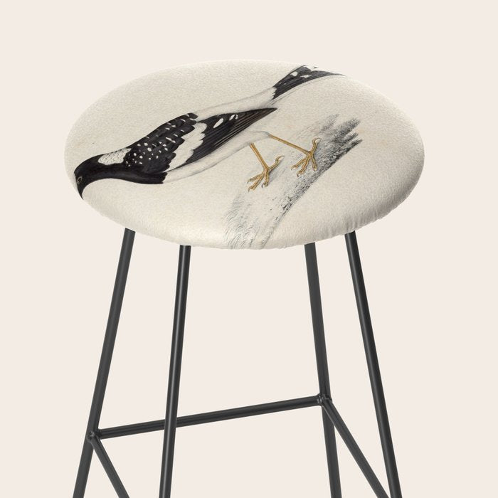 Spotted forktail by Elizabeth Gould from "A Century of Birds from the Himalaya Mountains," 1831 Stool Gallery Image 2