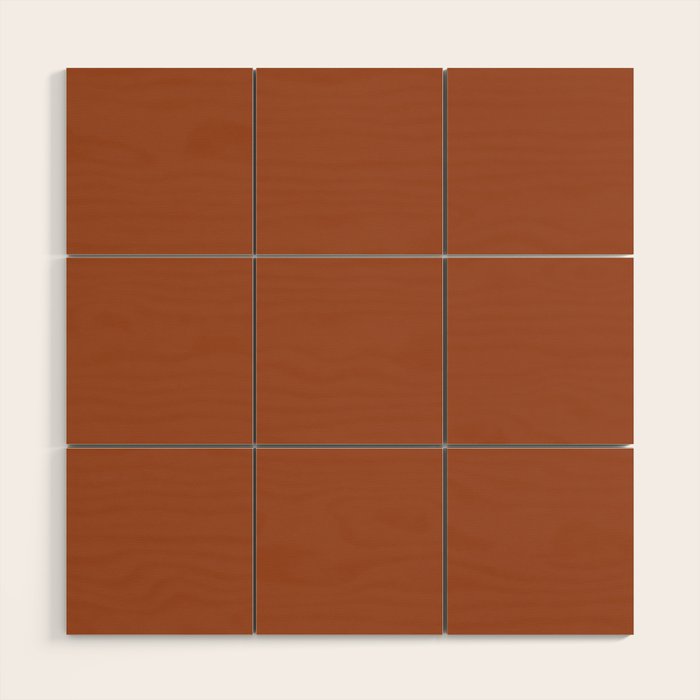 Kauai Soil Clay Terracotta Rust Solid  Wood Wall Art Gallery Image 1