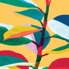 Colorful Ficus 4 Coffee Mug Gallery Image 2