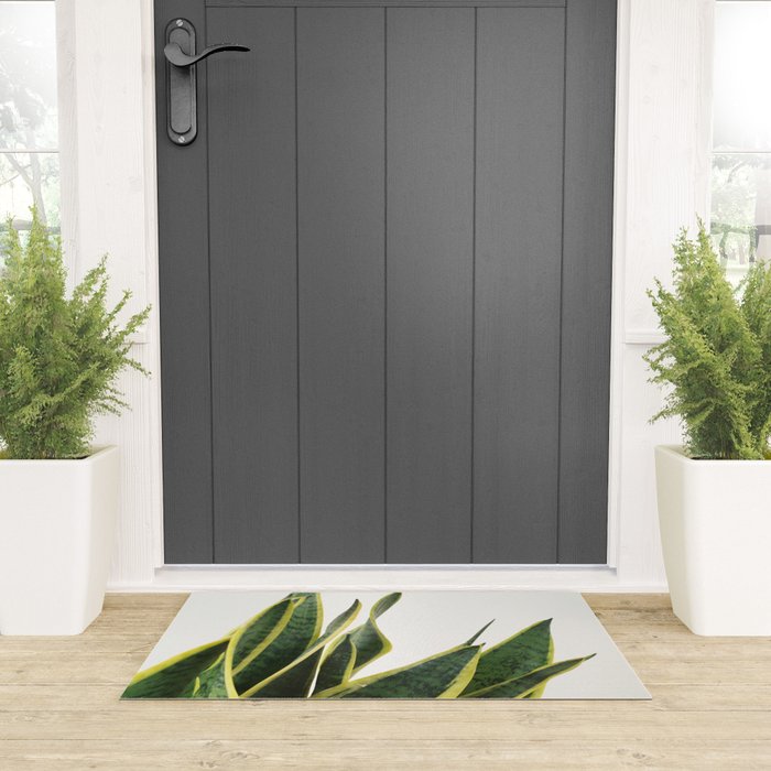 Sansevieria Welcome Mat Gallery Image 3