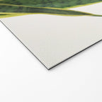 Sansevieria Welcome Mat Gallery Image 2