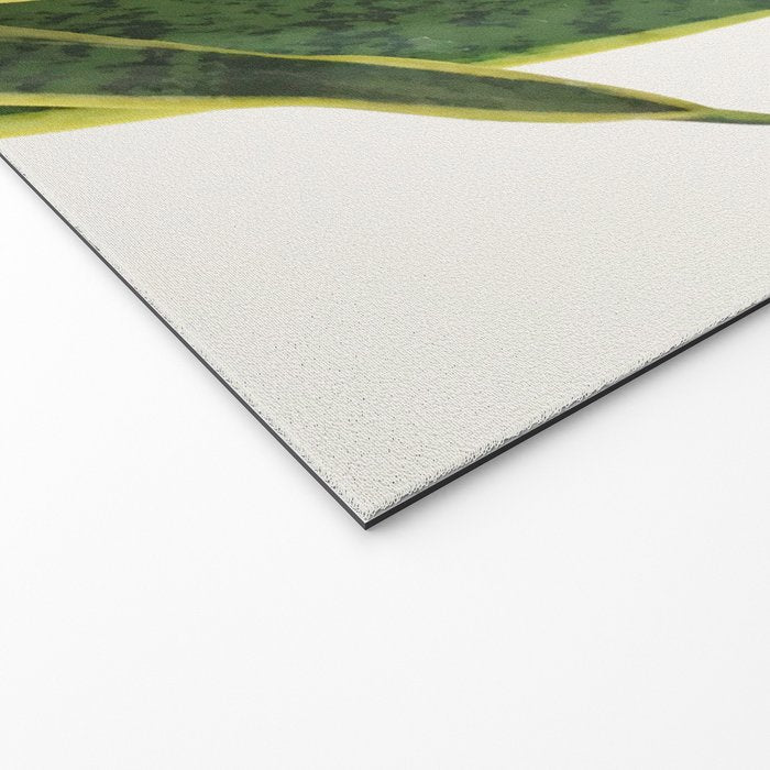 Sansevieria Welcome Mat Gallery Image 2