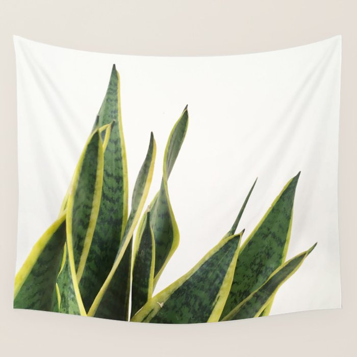 Sansevieria Wall Tapestry Gallery Image 4
