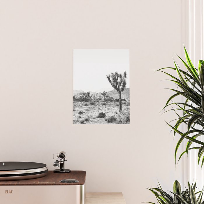 Joshua Tree Monochrome, No. 1 Poster Gallery Image 2