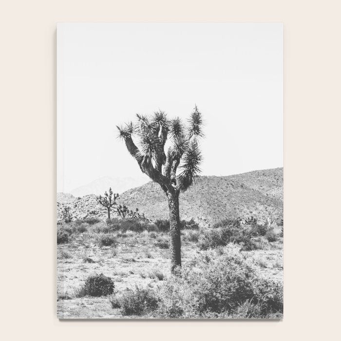 Joshua Tree Monochrome, No. 1 Notebook Gallery Image 4