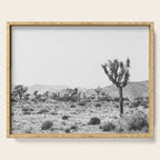 Joshua Tree Monochrome, No. 1 Serving Tray Gallery Image 1