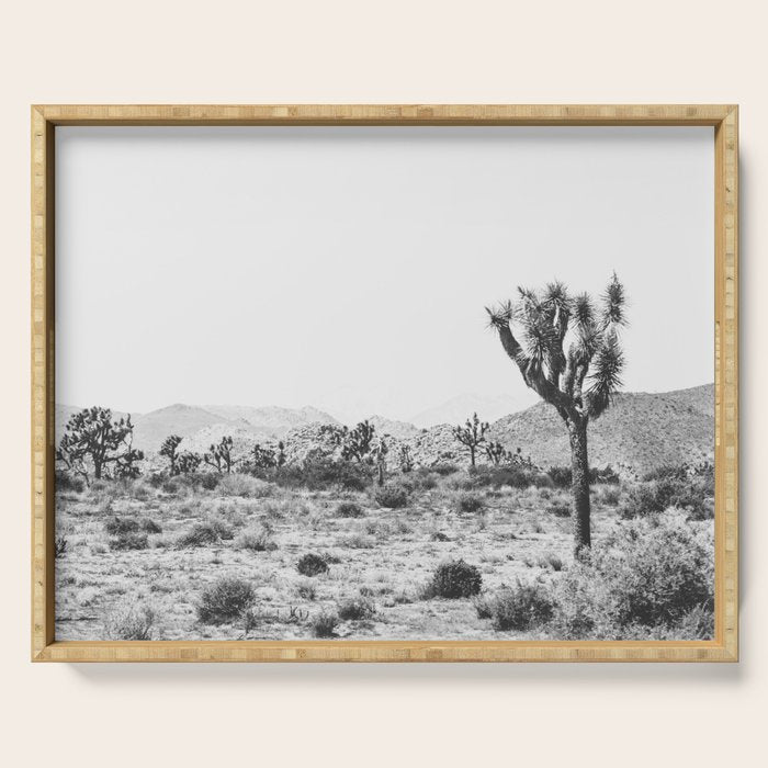 Joshua Tree Monochrome, No. 1 Serving Tray Gallery Image 1