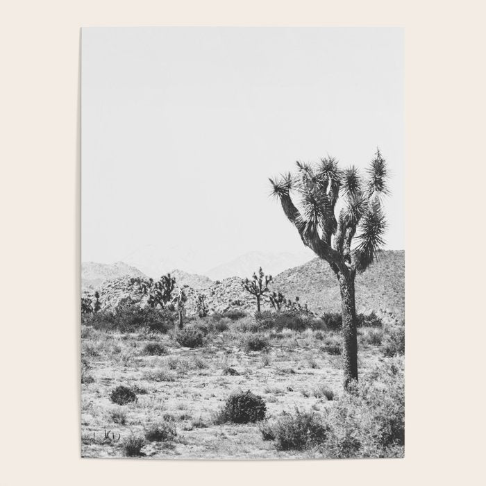 Joshua Tree Monochrome, No. 1 Poster Gallery Image 4